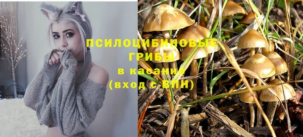 apvp Балабаново
