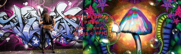 apvp Балабаново